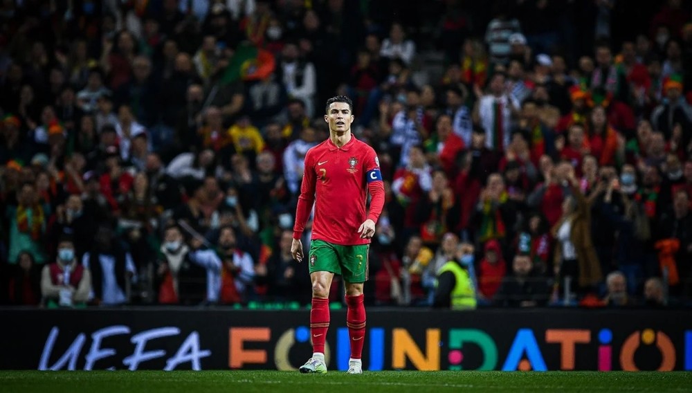 期待他们在 期待他们在