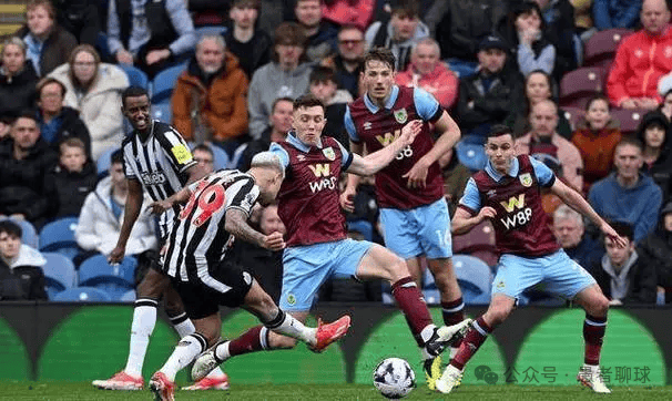 这对组合都 这对组合都