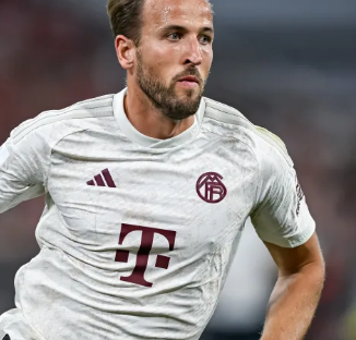 往会影响球 往会影响球